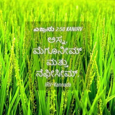 Picture 04 - ಎಜ್ರನು 2:50 KANIRV - ಅಸ್ನ, ಮೆಗೂನೀಮ್ - Bible Verse Picture