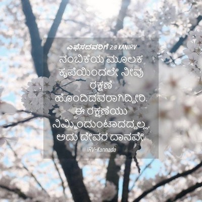 Picture 04 - ಎಫೆಸದವರಿಗೆ 2:8 KANIRV - ನಂಬಿಕೆಯ ಮೂಲಕ - Bible Verse Picture