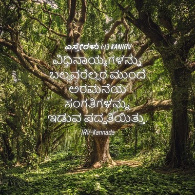 Picture 04 - ಎಸ್ತೇರಳು 1:13 KANIRV - ವಿಧಿನಾಯ್ಯಗಳನ್ನು - Bible Verse Picture
