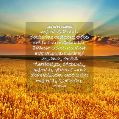 Picture 04 - ಎಸ್ತೇರಳು 4:4 KANIRV - ಎಸ್ತೇರಳ ಸೇವಕಿಯರೂ - Bible Verse Picture