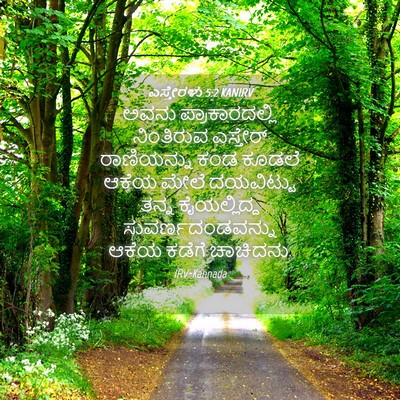 Picture 04 - ಎಸ್ತೇರಳು 5:2 KANIRV - ಅವನು ಪ್ರಾಕಾರದಲ್ಲಿ - Bible Verse Picture