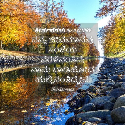 Picture 04 - ಕೀರ್ತನೆಗಳು 102:11 KANIRV - ನನ್ನ ಜೀವಮಾನವು - Bible Verse Picture