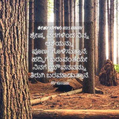 Picture 04 - ಕೀರ್ತನೆಗಳು 103:5 KANIRV - ಶ್ರೇಷ್ಠ ವರಗಳಿಂದ - Bible Verse Picture
