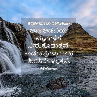 Picture 04 - ಕೀರ್ತನೆಗಳು 104:11 KANIRV - ಅವು ಅಡವಿಯ - Bible Verse Picture