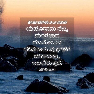 Picture 04 - ಕೀರ್ತನೆಗಳು 104:16 KANIRV - ಯೆಹೋವನು ನೆಟ್ಟ - Bible Verse Picture