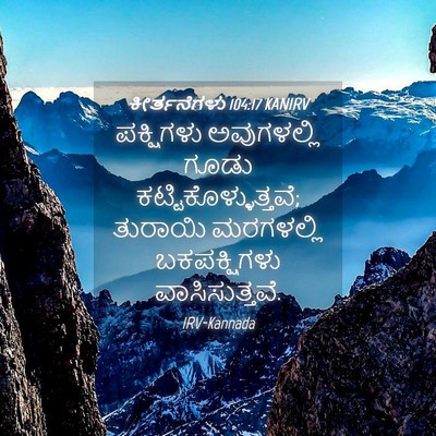 Picture 04 - ಕೀರ್ತನೆಗಳು 104:17 KANIRV - ಪಕ್ಷಿಗಳು - Bible Verse Picture