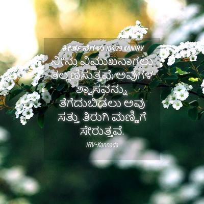 Picture 04 - ಕೀರ್ತನೆಗಳು 104:29 KANIRV - ನೀನು ವಿಮುಖನಾಗಲು - Bible Verse Picture