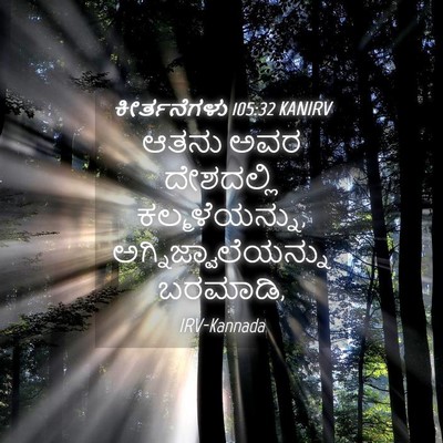 Picture 04 - ಕೀರ್ತನೆಗಳು 105:32 KANIRV - ಆತನು ಅವರ ದೇಶದಲ್ಲಿ - Bible Verse Picture