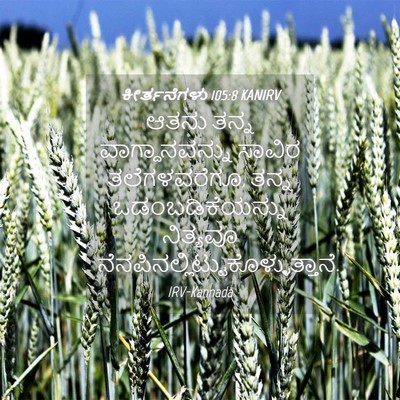 Picture 04 - ಕೀರ್ತನೆಗಳು 105:8 KANIRV - ಆತನು ತನ್ನ - Bible Verse Picture