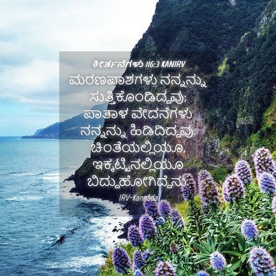 Picture 04 - ಕೀರ್ತನೆಗಳು 116:3 KANIRV - ಮರಣಪಾಶಗಳು - Bible Verse Picture