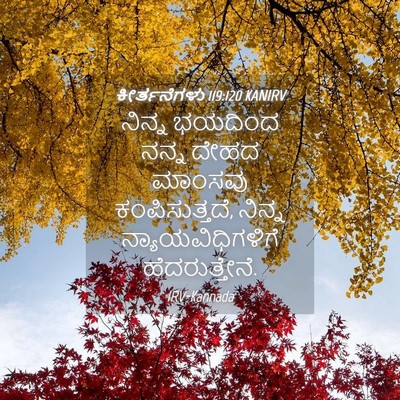 Picture 04 - ಕೀರ್ತನೆಗಳು 119:120 KANIRV - ನಿನ್ನ ಭಯದಿಂದ ನನ್ನ - Bible Verse Picture