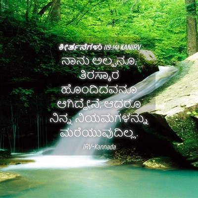 Picture 04 - ಕೀರ್ತನೆಗಳು 119:141 KANIRV - ನಾನು ಅಲ್ಪನೂ, - Bible Verse Picture