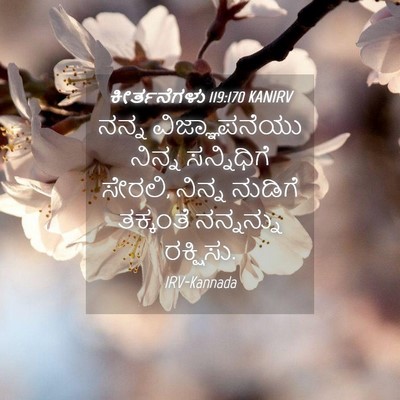 Picture 04 - ಕೀರ್ತನೆಗಳು 119:170 KANIRV - ನನ್ನ ವಿಜ್ಞಾಪನೆಯು - Bible Verse Picture