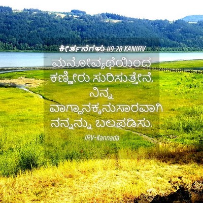 Picture 04 - ಕೀರ್ತನೆಗಳು 119:28 KANIRV - ಮನೋವ್ಯಥೆಯಿಂದ - Bible Verse Picture