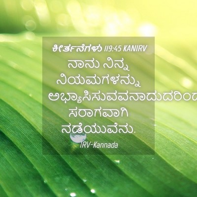 Picture 04 - ಕೀರ್ತನೆಗಳು 119:45 KANIRV - ನಾನು ನಿನ್ನ - Bible Verse Picture