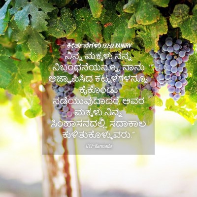 Picture 04 - ಕೀರ್ತನೆಗಳು 132:12 KANIRV - ನಿನ್ನ ಮಕ್ಕಳು ನನ್ನ - Bible Verse Picture