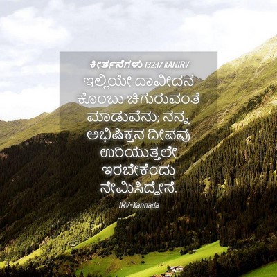 Picture 04 - ಕೀರ್ತನೆಗಳು 132:17 KANIRV - ಇಲ್ಲಿಯೇ ದಾವೀದನ - Bible Verse Picture