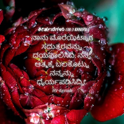 Picture 04 - ಕೀರ್ತನೆಗಳು 138:3 KANIRV - ನಾನು ಮೊರೆಯಿಟ್ಟಾಗ - Bible Verse Picture