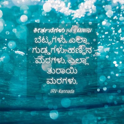 Picture 04 - ಕೀರ್ತನೆಗಳು 148:9 KANIRV - ಬೆಟ್ಟಗಳು, ಎಲ್ಲಾ - Bible Verse Picture