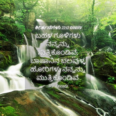 Picture 04 - ಕೀರ್ತನೆಗಳು 22:12 KANIRV - ಬಹಳ ಗೂಳಿಗಳು - Bible Verse Picture
