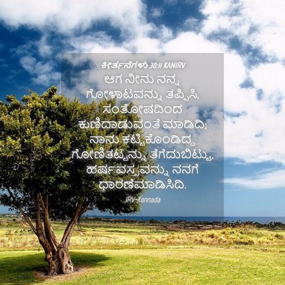 Picture 04 - ಕೀರ್ತನೆಗಳು 30:11 KANIRV - ಆಗ ನೀನು ನನ್ನ - Bible Verse Picture