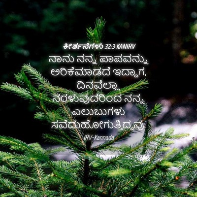 Picture 04 - ಕೀರ್ತನೆಗಳು 32:3 KANIRV - ನಾನು ನನ್ನ - Bible Verse Picture