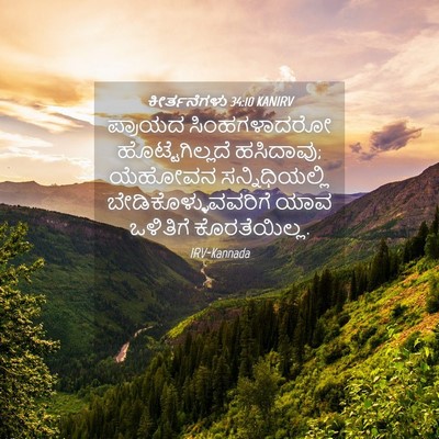 Picture 04 - ಕೀರ್ತನೆಗಳು 34:10 KANIRV - ಪ್ರಾಯದ ಸಿಂಹಗಳಾದರೋ - Bible Verse Picture