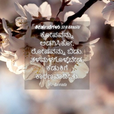 Picture 04 - ಕೀರ್ತನೆಗಳು 37:8 KANIRV - ಕೋಪವನ್ನು - Bible Verse Picture