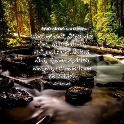 Picture 04 - ಕೀರ್ತನೆಗಳು 40:11 KANIRV - ಯೆಹೋವನೇ, ನೀನಂತೂ - Bible Verse Picture