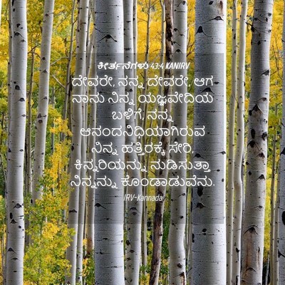 Picture 04 - ಕೀರ್ತನೆಗಳು 43:4 KANIRV - ದೇವರೇ, ನನ್ನ ದೇವರೇ, - Bible Verse Picture