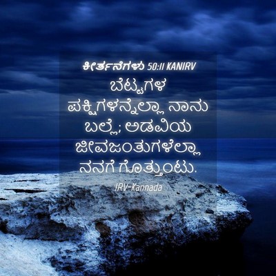 Picture 04 - ಕೀರ್ತನೆಗಳು 50:11 KANIRV - ಬೆಟ್ಟಗಳ - Bible Verse Picture