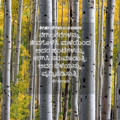 Picture 04 - ಕೀರ್ತನೆಗಳು 65:10 KANIRV - ನೇಗಿಲಗೆರೆಗಳನ್ನು - Bible Verse Picture