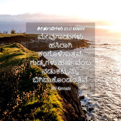 Picture 04 - ಕೀರ್ತನೆಗಳು 65:12 KANIRV - ಮೇವುಗಾಡುಗಳು - Bible Verse Picture