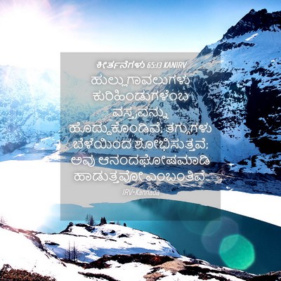 Picture 04 - ಕೀರ್ತನೆಗಳು 65:13 KANIRV - ಹುಲ್ಲುಗಾವಲುಗಳು - Bible Verse Picture