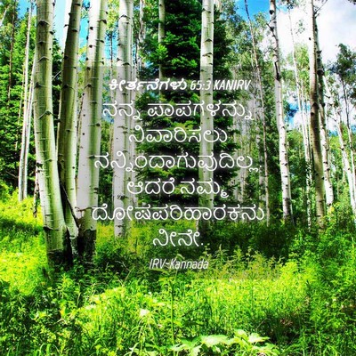 Picture 04 - ಕೀರ್ತನೆಗಳು 65:3 KANIRV - ನನ್ನ ಪಾಪಗಳನ್ನು - Bible Verse Picture