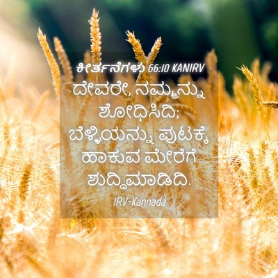 Picture 04 - ಕೀರ್ತನೆಗಳು 66:10 KANIRV - ದೇವರೇ, ನಮ್ಮನ್ನು - Bible Verse Picture