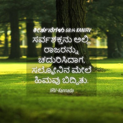 Picture 04 - ಕೀರ್ತನೆಗಳು 68:14 KANIRV - ಸರ್ವಶಕ್ತನು ಅಲ್ಲಿ - Bible Verse Picture