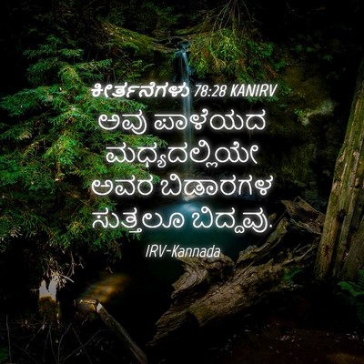 Picture 04 - ಕೀರ್ತನೆಗಳು 78:28 KANIRV - ಅವು ಪಾಳೆಯದ - Bible Verse Picture