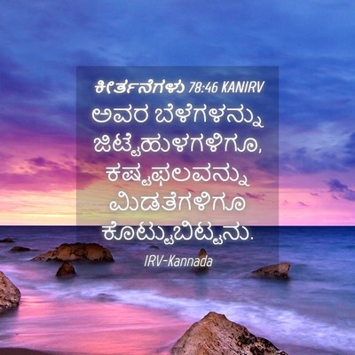 Picture 04 - ಕೀರ್ತನೆಗಳು 78:46 KANIRV - ಅವರ ಬೆಳೆಗಳನ್ನು - Bible Verse Picture