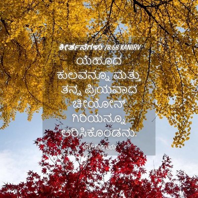 Picture 04 - ಕೀರ್ತನೆಗಳು 78:68 KANIRV - ಯೆಹೂದ ಕುಲವನ್ನೂ - Bible Verse Picture
