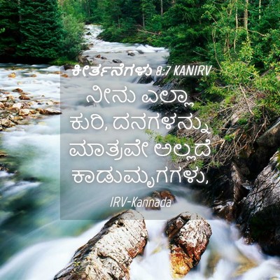 Picture 04 - ಕೀರ್ತನೆಗಳು 8:7 KANIRV - ನೀನು ಎಲ್ಲಾ ಕುರಿ, - Bible Verse Picture