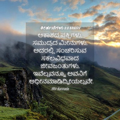 Picture 04 - ಕೀರ್ತನೆಗಳು 8:8 KANIRV - ಆಕಾಶದ ಪಕ್ಷಿಗಳು, - Bible Verse Picture