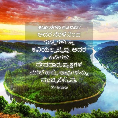 Picture 04 - ಕೀರ್ತನೆಗಳು 80:10 KANIRV - ಅದರ ನೆರಳಿನಿಂದ - Bible Verse Picture
