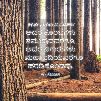Picture 04 - ಕೀರ್ತನೆಗಳು 80:11 KANIRV - ಅದರ ಕೊಂಬೆಗಳು - Bible Verse Picture