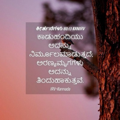 Picture 04 - ಕೀರ್ತನೆಗಳು 80:13 KANIRV - ಕಾಡುಹಂದಿಯು ಅದನ್ನು - Bible Verse Picture