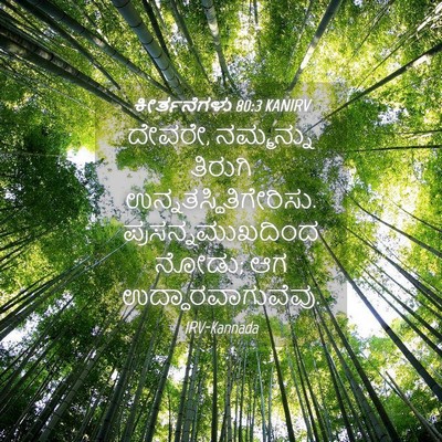 Picture 04 - ಕೀರ್ತನೆಗಳು 80:3 KANIRV - ದೇವರೇ, ನಮ್ಮನ್ನು - Bible Verse Picture