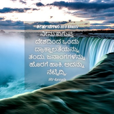Picture 04 - ಕೀರ್ತನೆಗಳು 80:8 KANIRV - ನೀನು ಐಗುಪ್ತ - Bible Verse Picture