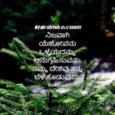 Picture 04 - ಕೀರ್ತನೆಗಳು 85:12 KANIRV - ನಿಜವಾಗಿ ಯೆಹೋವನು - Bible Verse Picture