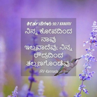 Picture 04 - ಕೀರ್ತನೆಗಳು 90:7 KANIRV - ನಿನ್ನ ಕೋಪದಿಂದ - Bible Verse Picture