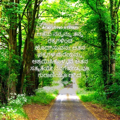 Picture 04 - ಕೀರ್ತನೆಗಳು 91:4 KANIRV - ಆತನು ನನ್ನನ್ನು - Bible Verse Picture